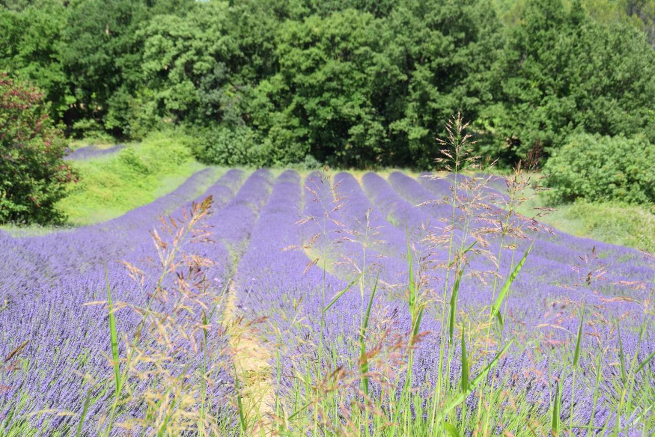 Gite Les Tilleuls Villa Saint-Montan Buitenkant foto